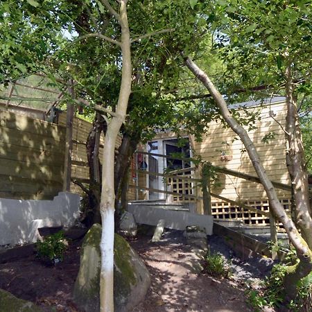 Tawny Lodge Γουέστπορτ Εξωτερικό φωτογραφία