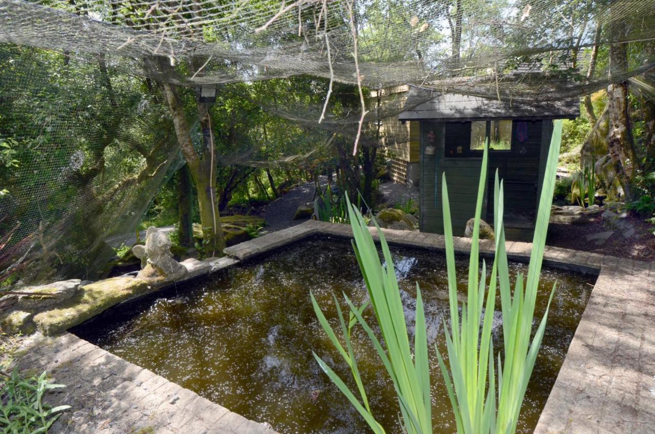 Tawny Lodge Γουέστπορτ Εξωτερικό φωτογραφία